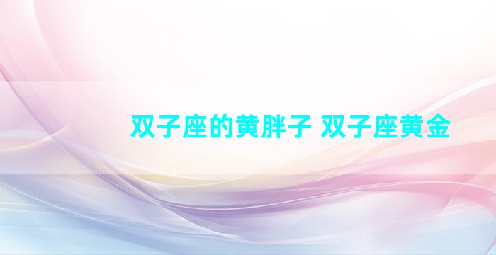 双子座的黄胖子 双子座黄金